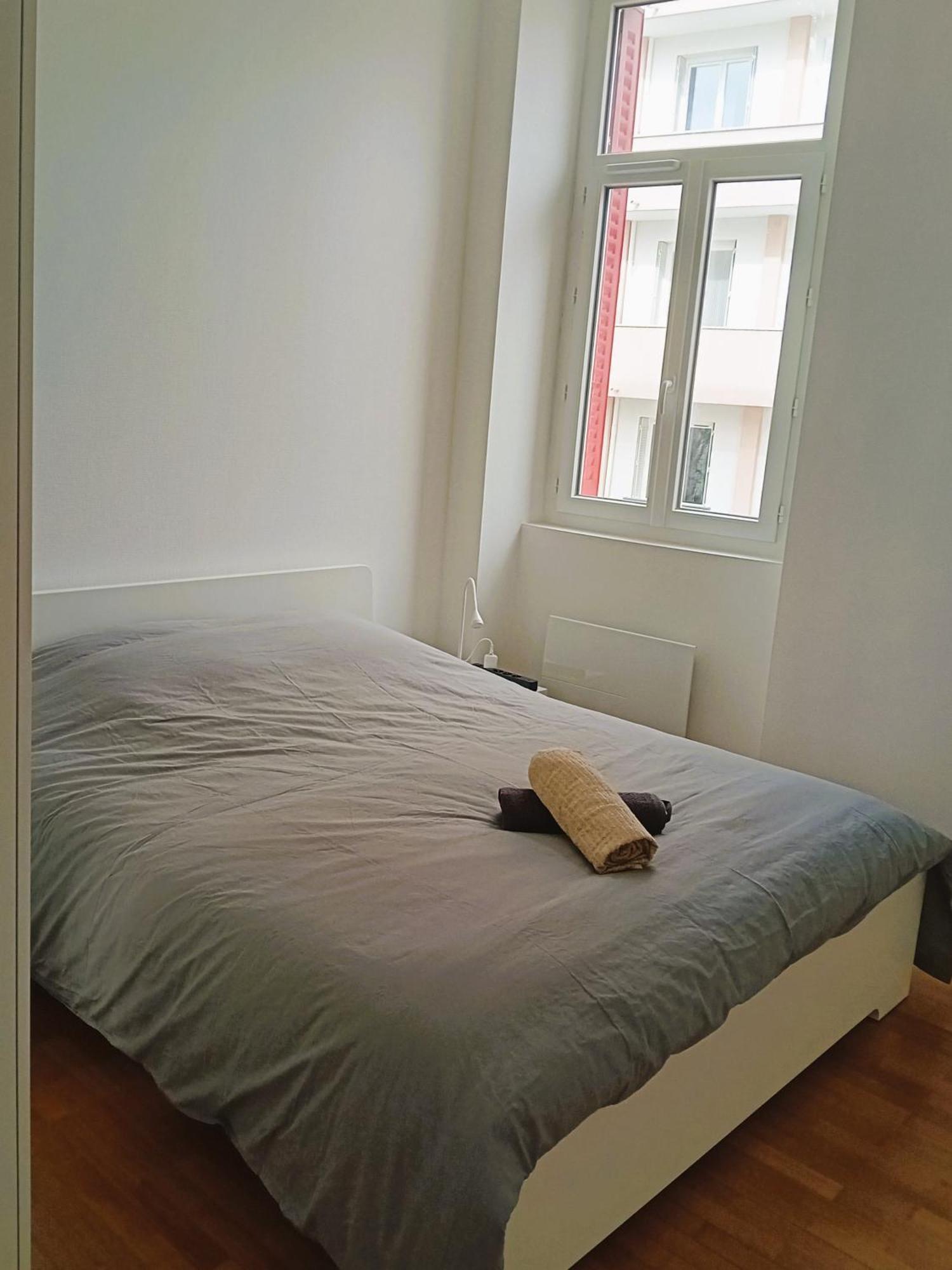 102 - Appart Renove Avec Grand Salon Et 1 Chambre - Tram Et Clinique Mutualiste A 1 Min Grenoble Extérieur photo